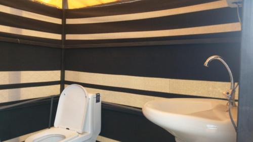 Koupelna v ubytování Bedouin nights Camp