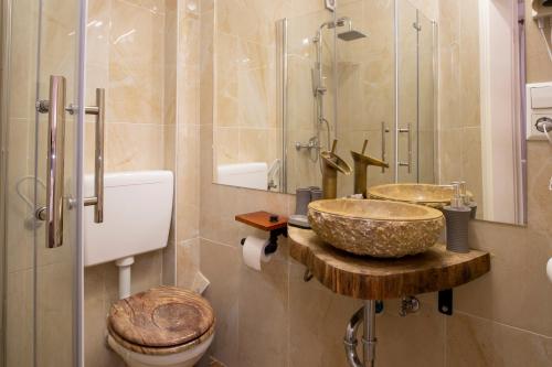 a bathroom with a sink and a toilet and a shower at Hotel Restaurant Meteora in Tübingen