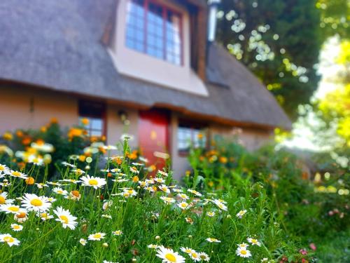 a field of flowers in front of a house at Granny Mouse Country House & Spa in Balgowan