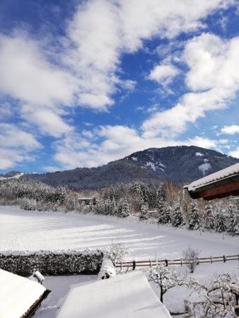 a snow covered field with a mountain in the background at Appartement Nani in Söll