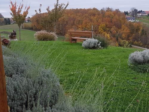 a park bench in the middle of a field at B&B Villa Angelina in Rogaška Slatina