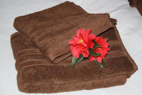 a red flower sitting on top of a brown towel at La Champrenière in Puy-du-Fou
