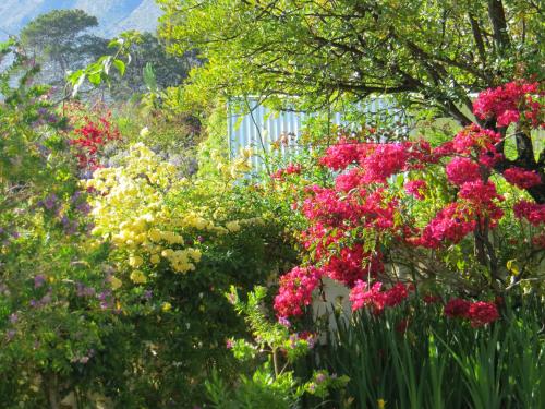 a garden filled with lots of colorful flowers at Bougain Villa Guesthouse in Prince Albert