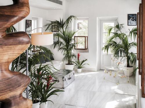 a living room filled with lots of plants at Belvedere Mykonos - Main Hotel - The Leading Hotels of the World in Mýkonos City