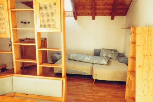 a living room with a couch and book shelves at Pelegrin 15 in San Vigilio Di Marebbe