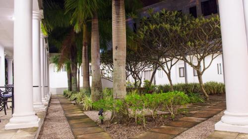 a row of palm trees on the side of a building at Premier Hotel The Richards in Richards Bay