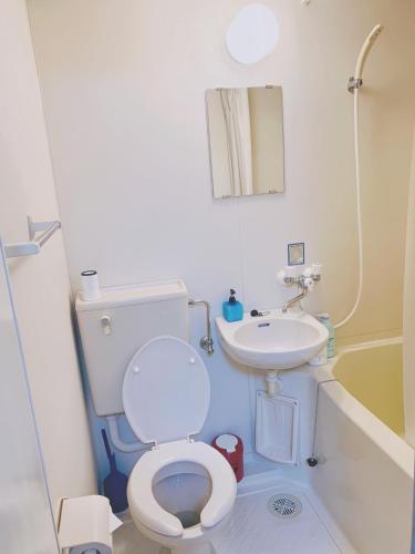 a bathroom with a toilet and a sink at Snow Elephant in Hakuba