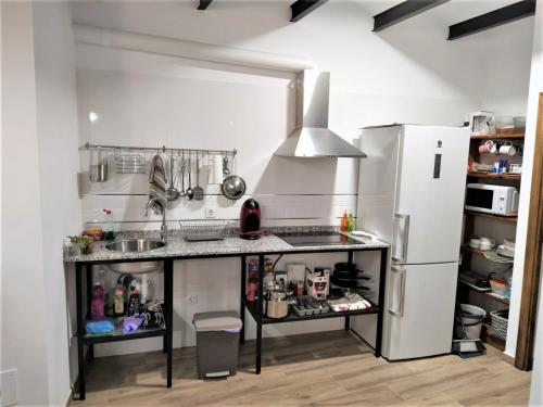 Kuchyň nebo kuchyňský kout v ubytování Entre patios y flores