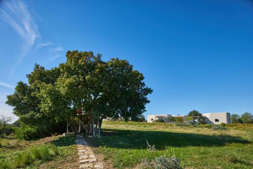 a tree in the middle of a field at Villa Vendicari in Casa Maccari