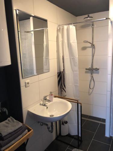 a bathroom with a sink and a shower at Wohlfühlappartment in der Altstadt von Steyr in Steyr