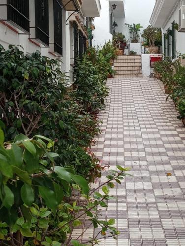 El Patio I