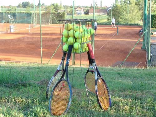 Tenis a/nebo squash v ubytování Mir nebo okolí