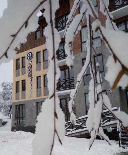 Park Residence Forest View a l'hivern