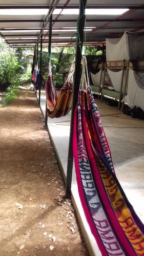 a row of hammocks hanging from a tent at Bolita Trails and Lodging in Dos Brazos