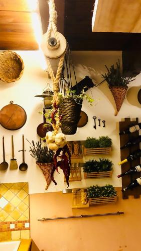 a wall with a bunch of potted plants on it at VILLA "Casa al Chiazzullo" in Mirabella Eclano