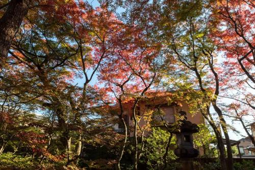 伝心庵 Garden Villa Denshin-Anにある庭