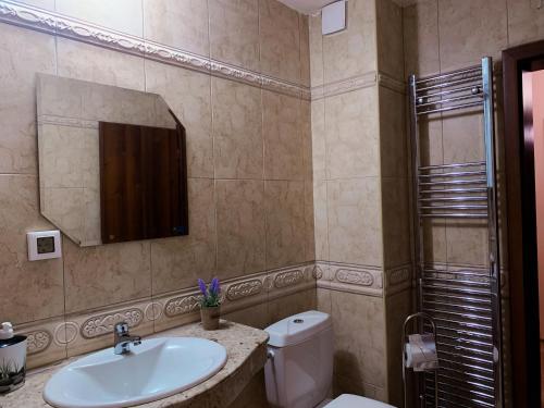 a bathroom with a sink and a toilet and a mirror at Evrika home 21 in Pamporovo