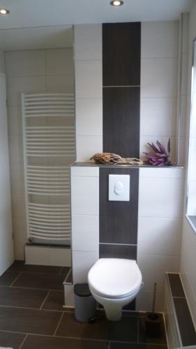 een badkamer met een wit toilet in een kamer bij Ferienhaus Jendral in Blankenburg