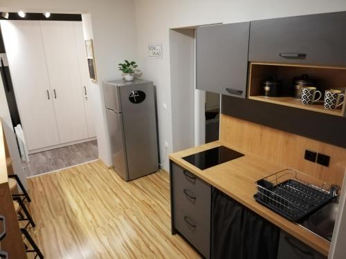 a kitchen with a sink and a refrigerator at Apartment Nobl plac in Celje