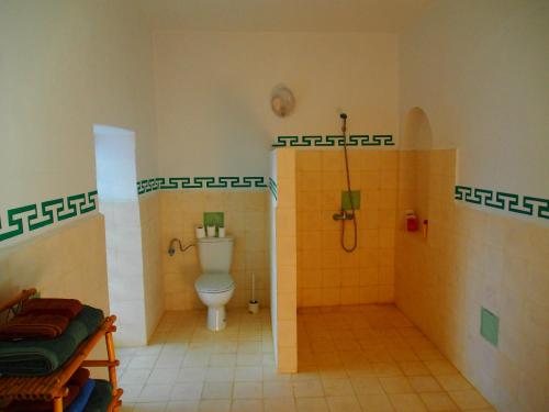 a bathroom with a toilet and a shower at la fromagerie essaouira in Essaouira