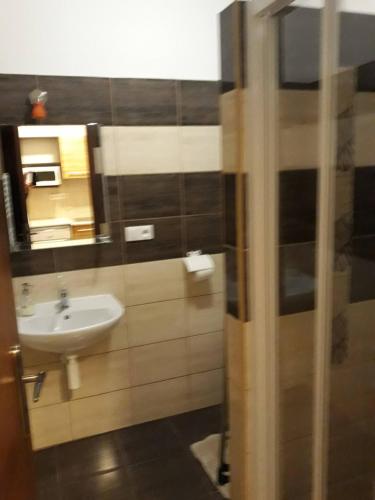 a bathroom with a sink and a mirror at Fridrich apartman in Veľký Meder
