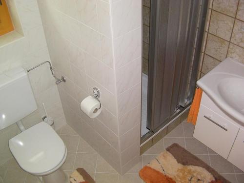 e bagno con doccia, servizi igienici e lavandino. di Haus Waldblick ad Auffach