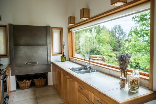 uma cozinha com um lavatório e uma grande janela em Quinto Elemento Bariloche em San Carlos de Bariloche