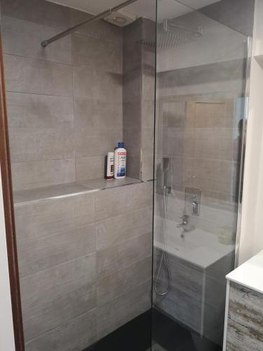 a bathroom with a shower and a bath tub at Madrid Green in Villaviciosa de Odón