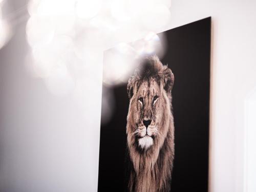 a picture of a lion in a picture frame at Family Apartment City Center Baden-Baden in Baden-Baden