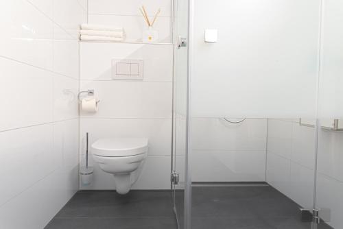 a bathroom with a toilet and a glass shower at Family Apartment City Center Baden-Baden in Baden-Baden