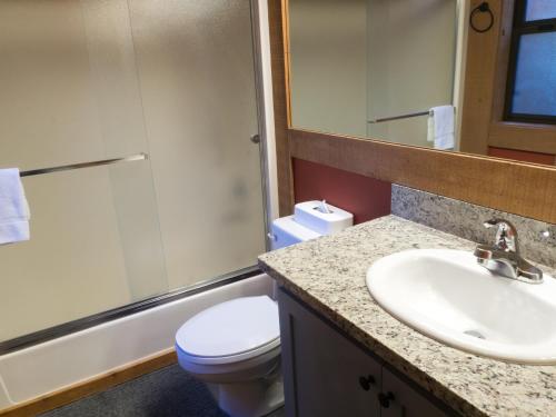 a bathroom with a sink and a toilet and a mirror at Charming Studio Condo in Truckee
