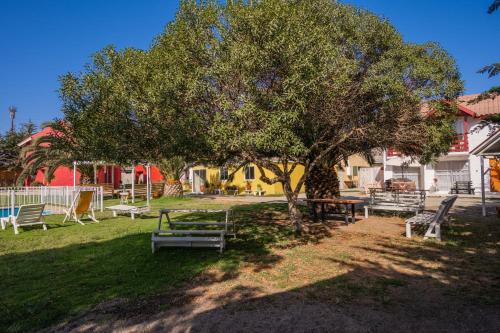 a group of park benches sitting under a tree at Cabañas Maihue in La Serena