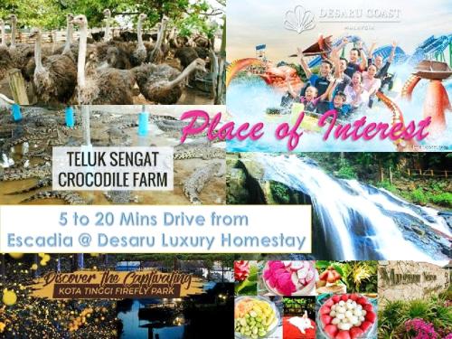 a collage of pictures of a water park at Desaru Cosy Homestay - near WaterPark, Beach, Rapid -Wifi, TVbox, Steamboat, BBQ Available in Desaru