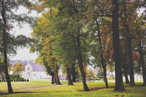a group of trees with a house in the background at Pałac Brunów - Wellness & SPA in Lwówek Śląski