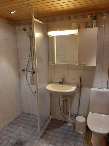 a bathroom with a shower and a sink and a toilet at Pankkotupa 65 "13А" in Savonlinna