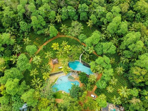 Una vista aérea de un complejo turístico con piscina y árboles. en Leisure Land, en Galle