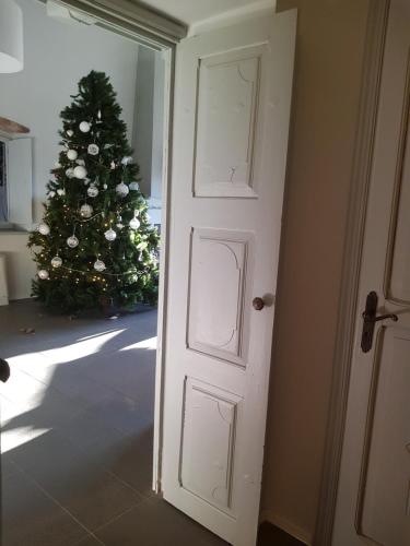 an open door with a christmas tree in a room at ANTICA VILLA CUNEO- Guest House - "B&B e non un Hotel a Cuneo" in Cuneo