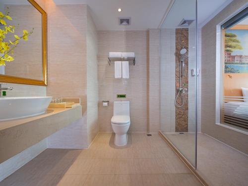 Un baño con inodoro, lavabo y ducha. en Vienna Hotel(Yangchun International Shop ), en Yangchun