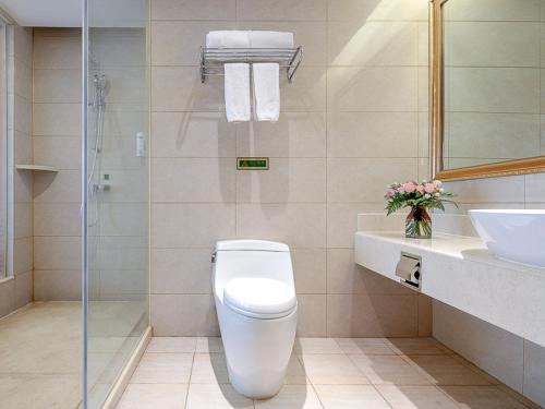 uma casa de banho com um WC, um lavatório e um chuveiro em Vienna Hotel(Anqing Guangcai Seven-street) em Anqing