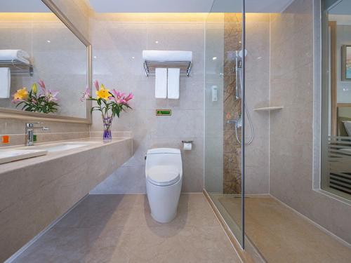 a bathroom with a toilet and a sink and a shower at Vienna Hotel (Qingyuan Century Bar Shop in Guangdong Province) in Qingyuan
