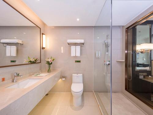 a bathroom with a toilet and a sink and a shower at Vienna (Hunan Zhuzhou Chaling County) in Chaling