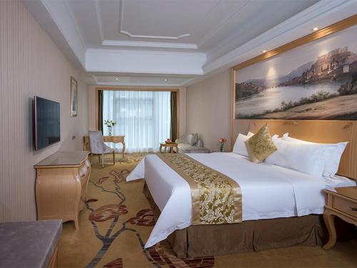 um quarto de hotel com uma cama grande e uma televisão em Vienna Hotel(Xiangtan Center Branch ) em Xiangtan