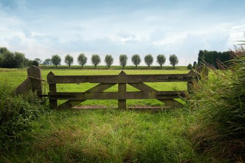 a wooden bench in a field with trees in the distance at Grenshotel de Jonckheer in Ossendrecht