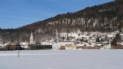 a small town in the snow with a mountain at Gästehaus Appartements Egender in Bezau