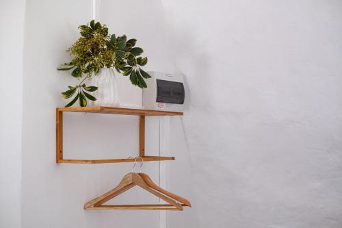a shelf with a plant and a clock on a wall at Stellenhof Country Estate in Addo
