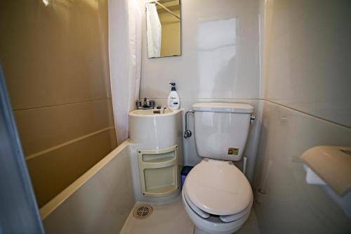 Hakuba Matata Lodge في هاكوبا: حمام صغير مع مرحاض ومغسلة