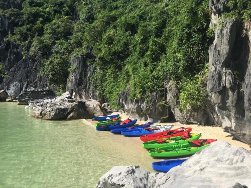 a line of boats lined up on a beach at Cat Ba Bay Cruises in Cat Ba