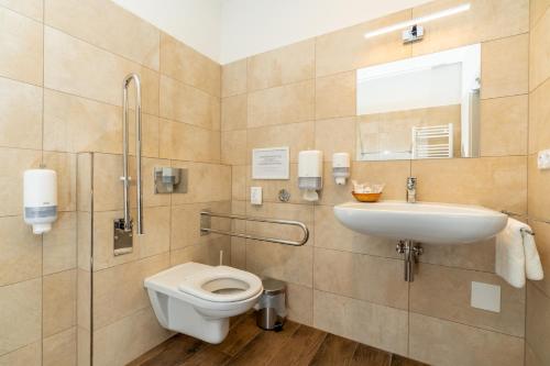 a bathroom with a toilet and a sink at Hotel Dvur Hoffmeister in Velké Číčovice