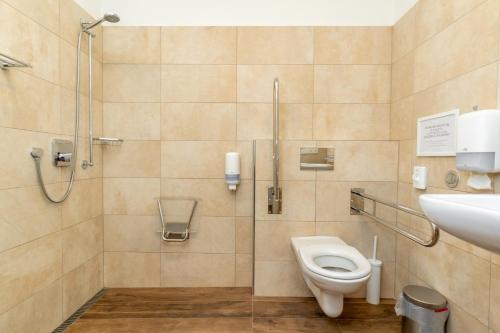 a bathroom with a shower and a toilet and a sink at Hotel Dvur Hoffmeister in Velké Číčovice