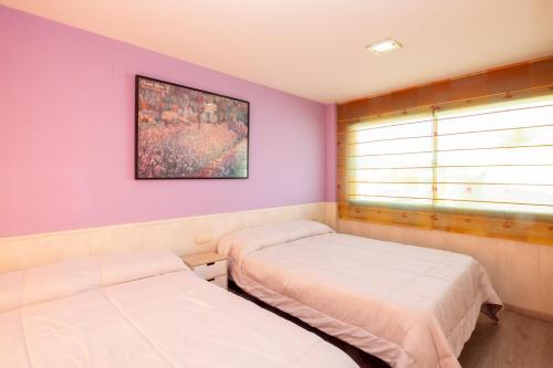 two beds in a room with purple walls at Gandia Confort Treviso in Gandía